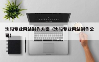 范县沈阳专业网站制作方案（沈阳专业网站制作公司）